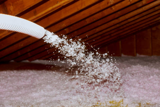 Best Cellulose Insulation in Vicksburg, MS