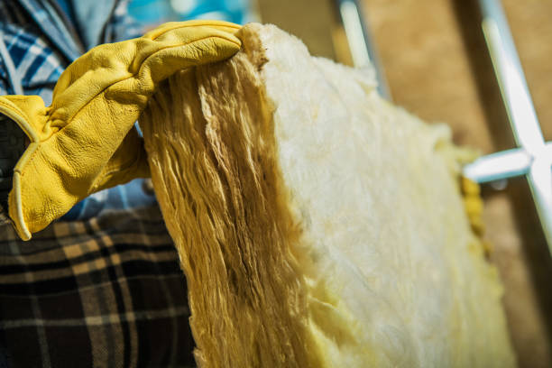 Best Eco-Friendly Insulation in Vicksburg, MS