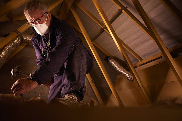 Best Specialized Insulation Services in Vicksburg, MS